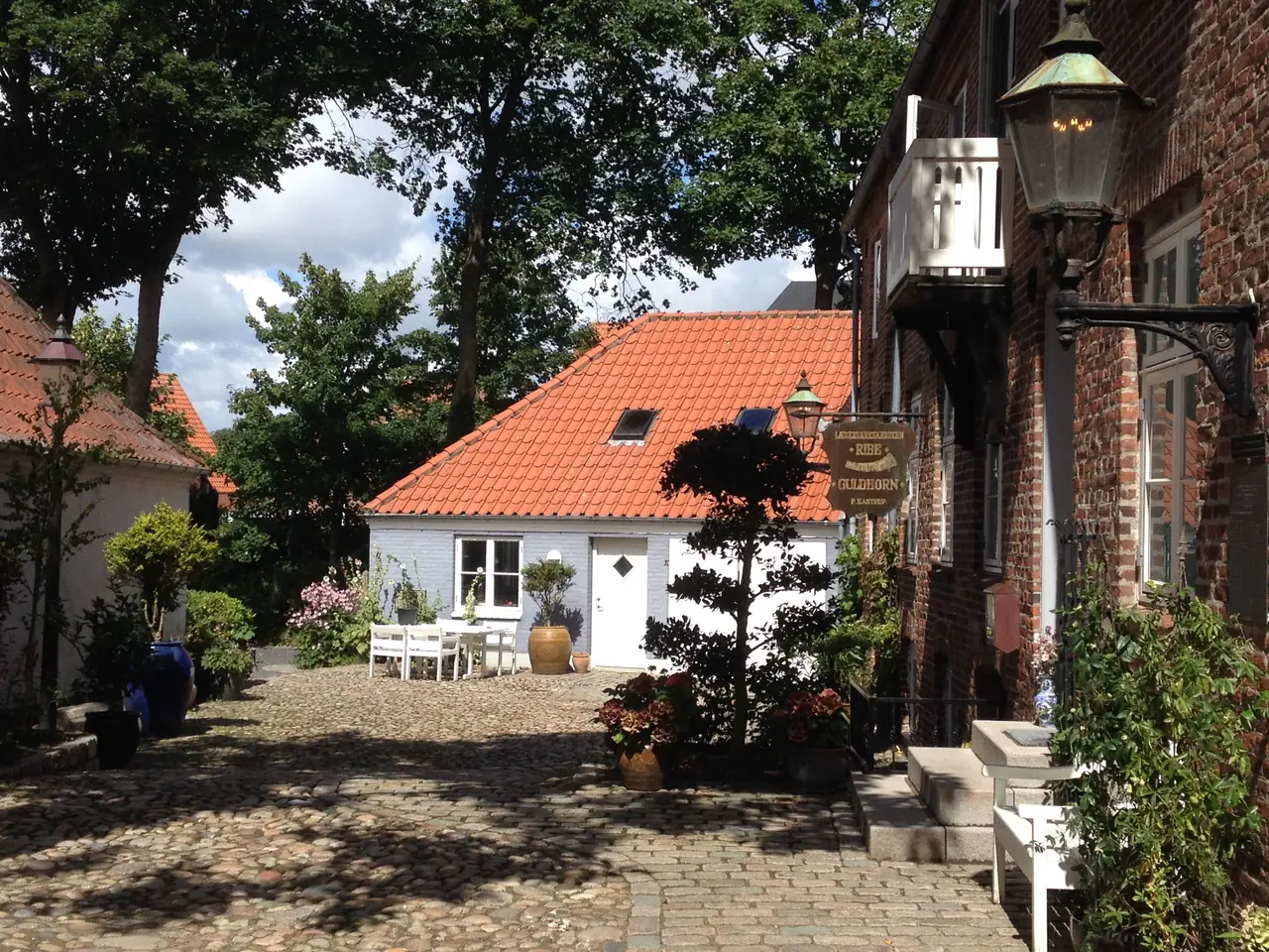 Ribe
