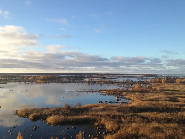 Kvarken