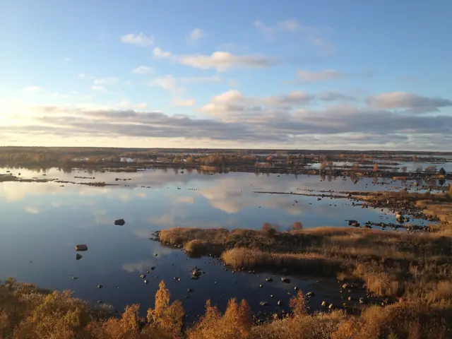 Kvarken