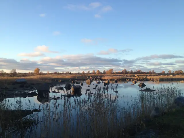Kvarken