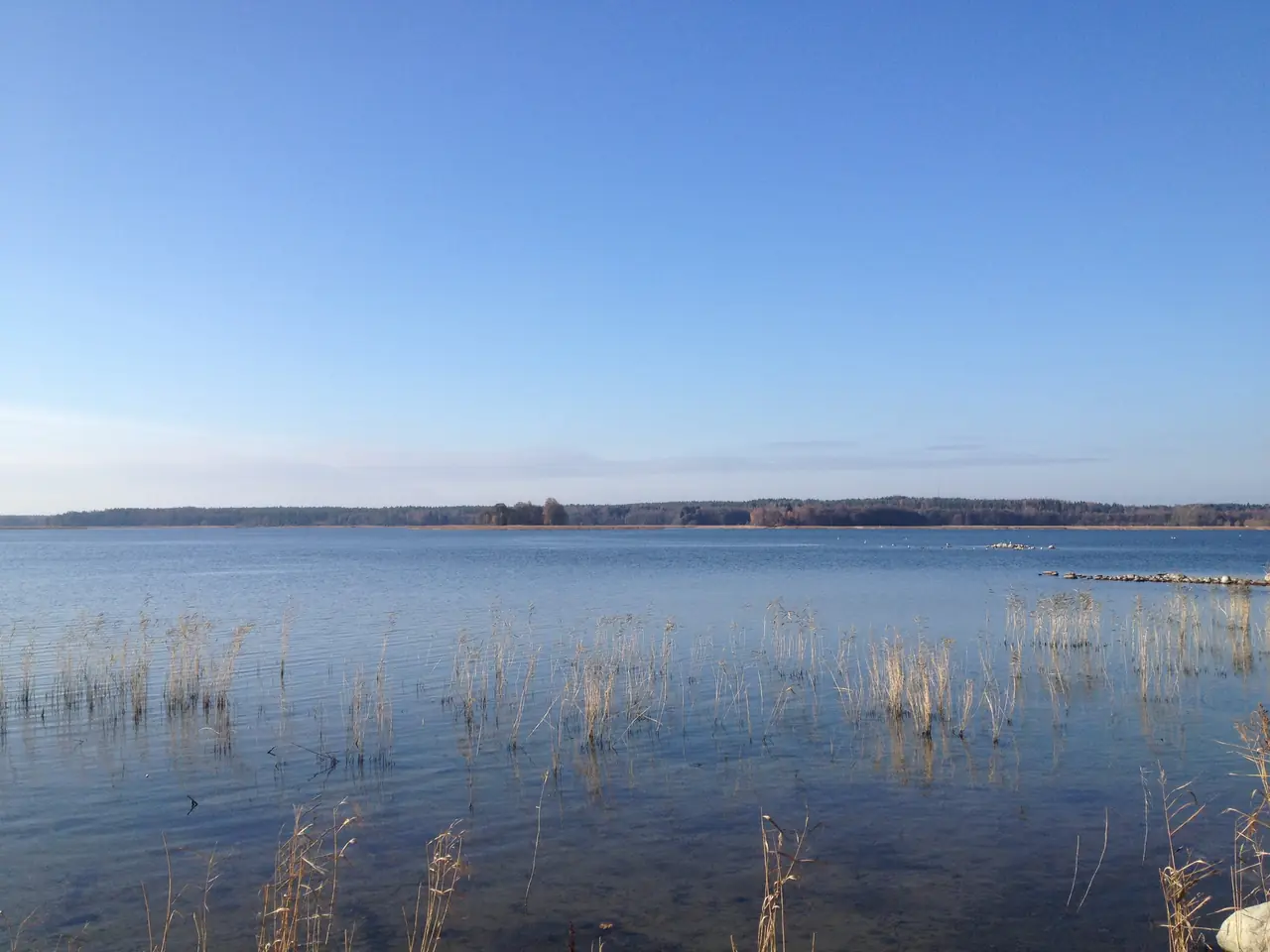 Hanko