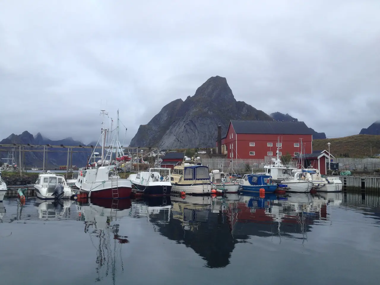 Reine
