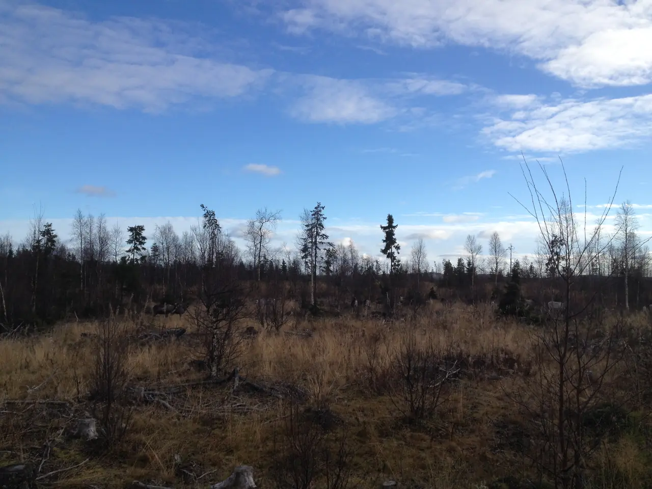 Traversée de la Suède du Nord