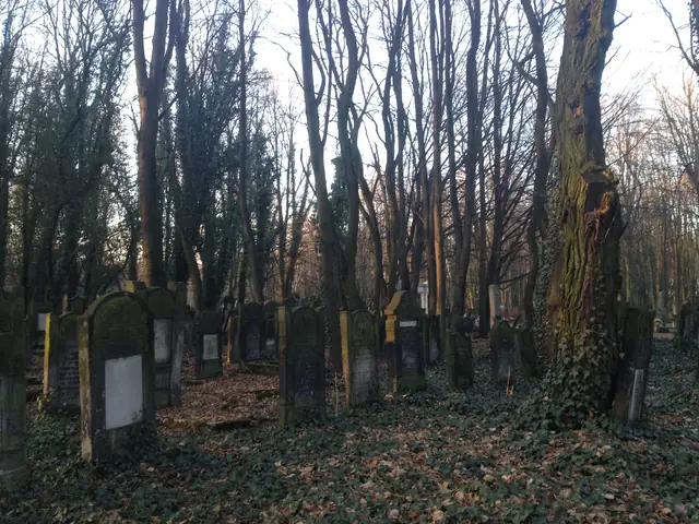 Lodz