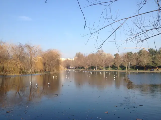 Bucarest