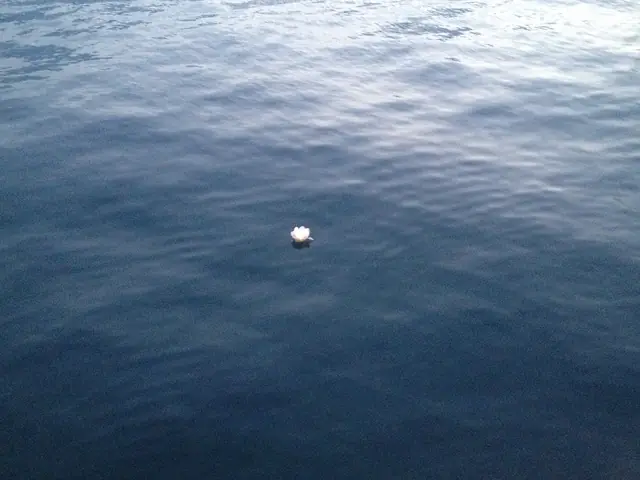 Thessalonique