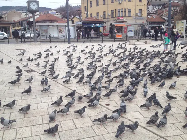 Sarajevo