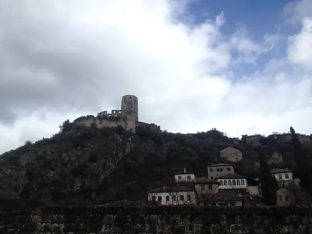Pocitelj