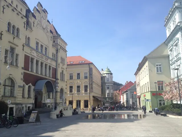 Celje