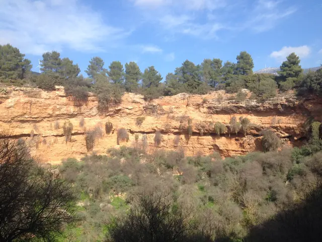 Cratères de Didyma