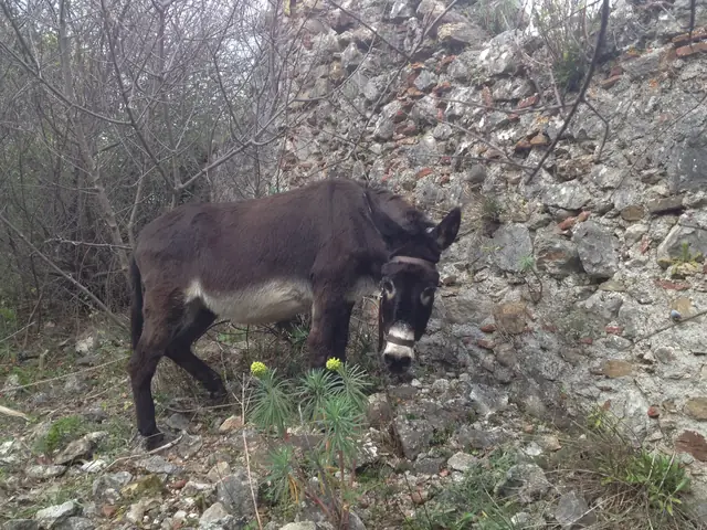 Mystras