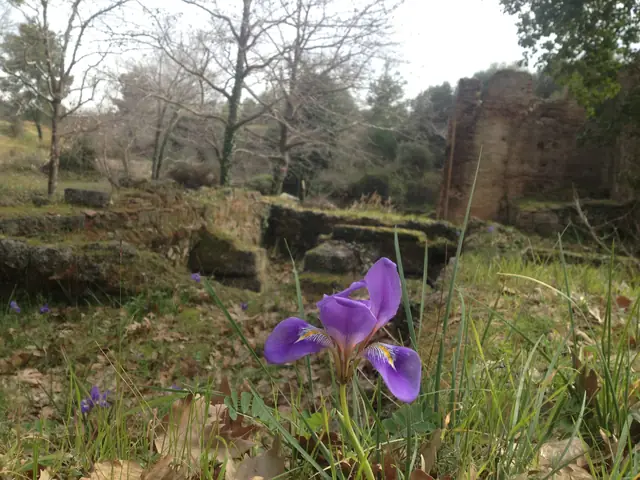 Ancienne Olympie