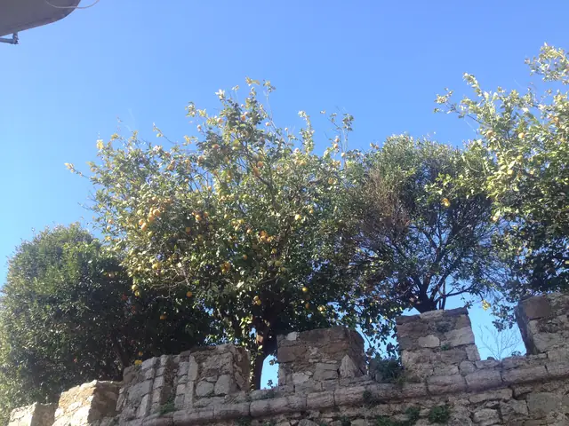 Nafpaktos