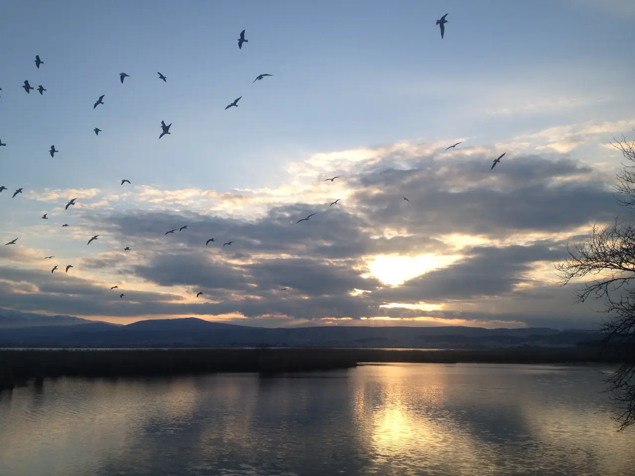 Lac et Ioannina