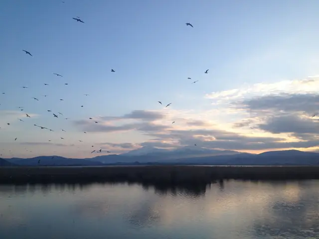 Lac et Ioannina