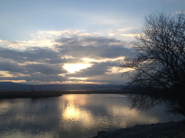 Lac et Ioannina
