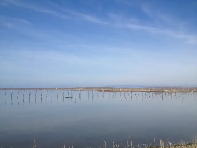 Shkodër