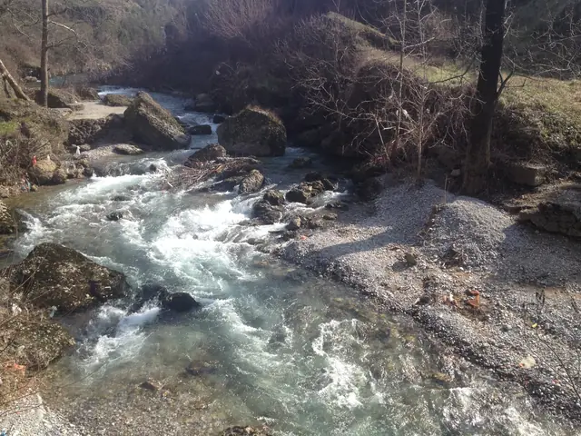 Podgorica