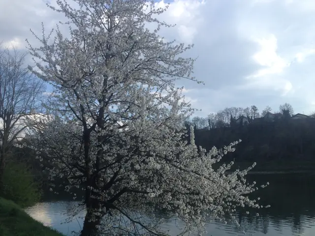 Maribor