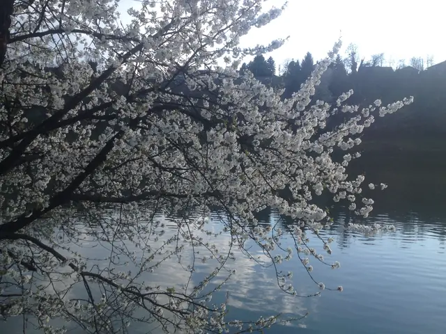 Maribor